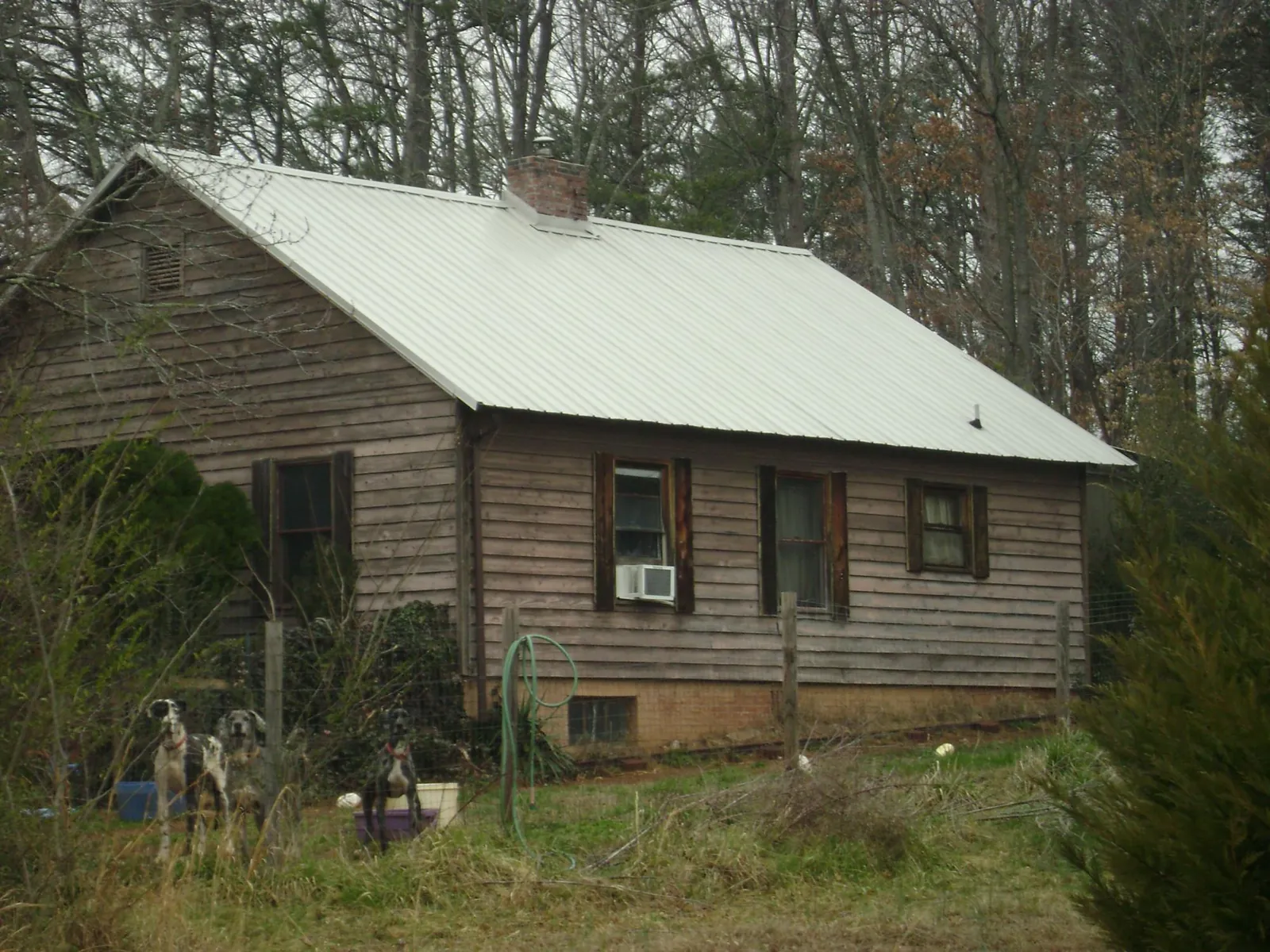 White metal roof on an old wood sided farmhouse, from a Asphalt Shingle Roof Repair job in Mc Kean
